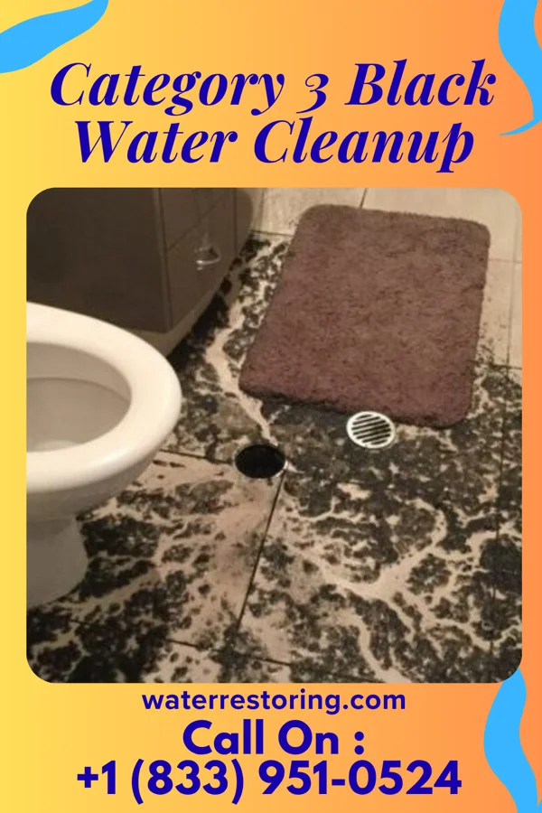 Category 3 Black Water Cleanup in Battle Ground, WA
